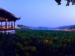 -杭州西湖风景名胜区-北街寻梦