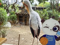 -熊猫自助餐厅.萌趣城堡(长隆熊猫酒店)