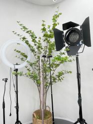 -CIT造型·烫发·染发