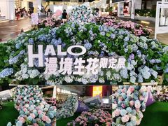 -HALO广场(梨园路店)