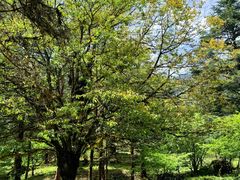 -硗碛藏寨·神木垒景区