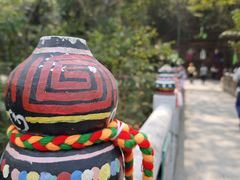 -西双版纳原始森林公园