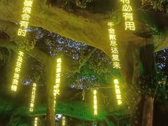 -横店影视城梦幻谷园区