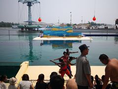 -秦皇岛乐岛海洋王国