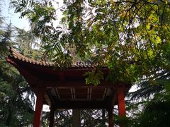 -大雁塔北广场音乐喷泉
