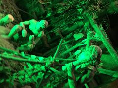 -游龙石文化科普馆