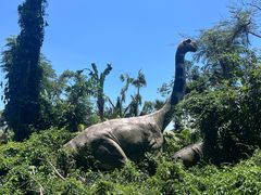 -海南热带野生动植物园