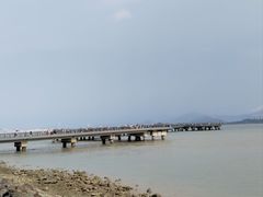-深圳湾公园(南山区)