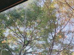 -临家闽南菜(翔安店)