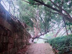 -胡里山炮台