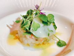 -蝶舍·MAISON PAPILLON