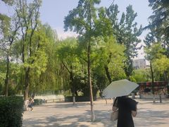 -莲湖公园