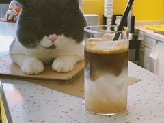 -22cafe