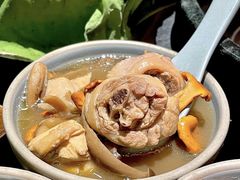 -蘑界·野生菌火锅(深业上城店)