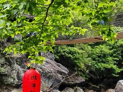 -石台牯牛降景区