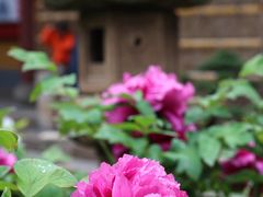 -龙华寺