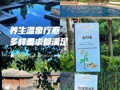 -罗浮山嘉宝田森林温泉度假酒店