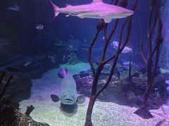 -沈阳海洋探索中心