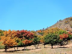 -西拉沐沦大峡谷园区