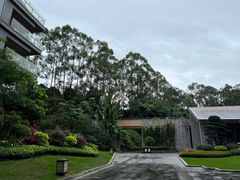 -南宁荔园维景国际酒店·荔园中餐厅