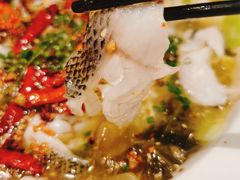 -姚姚酸菜鱼·金戈戈香港豉油鸡(喜荟城联名店)