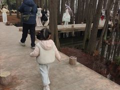-东湖落雁景区