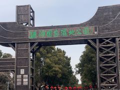 -溱湖国家湿地公园