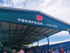 -亚龙湾国际玫瑰谷