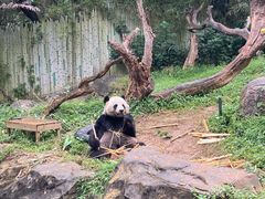 -广州长隆野生动物世界