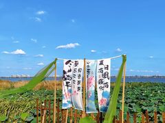 -七的湖·晚芳亭·阳澄湖农家菜·大闸蟹(莲花岛店)