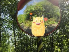 -都江堰中华大熊猫苑