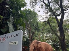 -深圳野生动物园
