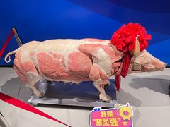 -生命奥秘博物馆