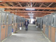 -北京群众马术培训基地