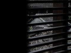 -MOJ coffee(瓯海泽雅水碓坑店)