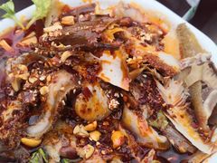 -曾牛肉