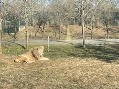 -秦皇岛野生动物园