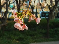-静安雕塑公园