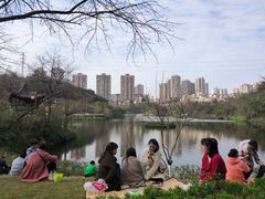 -重庆彩云湖湿地公园