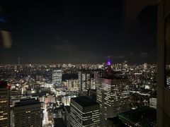 -东京都厅舍
