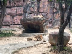 -紫马岭公园