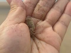 -舟山嵊泗列岛风景名胜区-南长涂沙滩