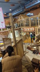 -卡通尼·Safari非洲探索乐园·生日会(金桥国际商业广场店)