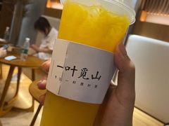 -一叶觅山(半边街店)