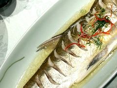 -香雪海饭店中餐厅(人民桥店)