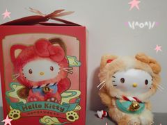 -安吉Hello Kitty乐园