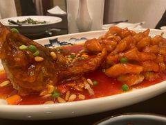 松鼠桂鱼-新南华大酒店(长寿店)