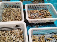 -艳阳天·非遗楚菜(武汉客厅店)