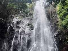 -马峦山郊野公园