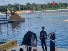 -秦皇岛乐岛海洋王国